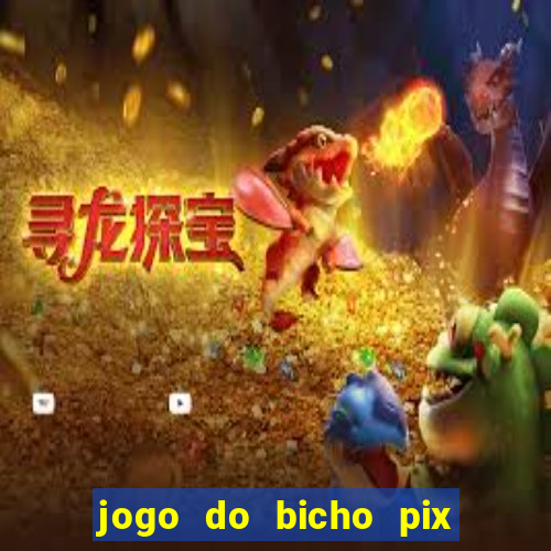 jogo do bicho pix da sorte